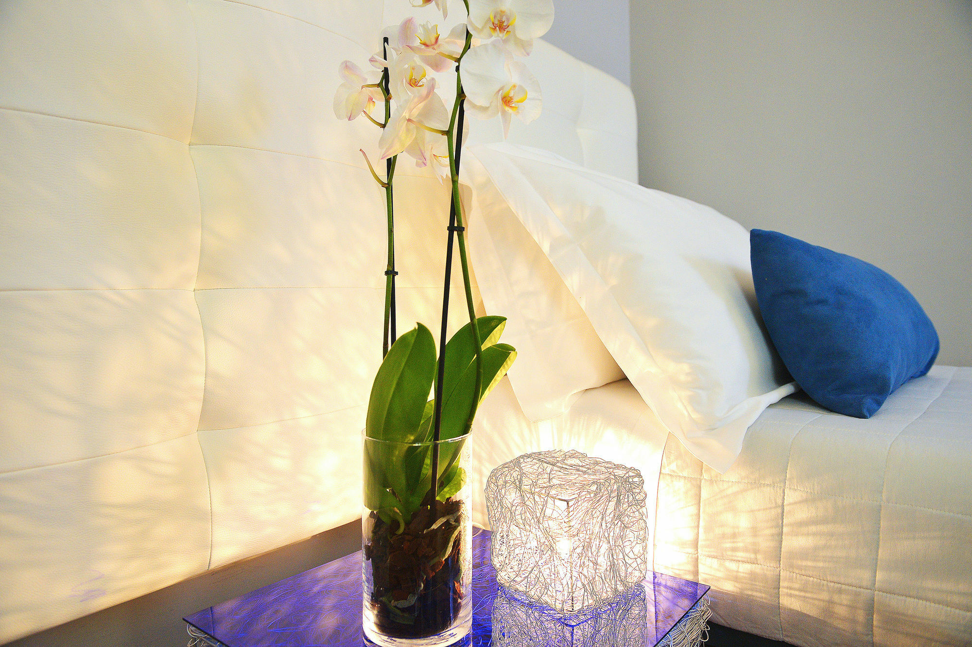 B-Cool (Adults Only) Bed & Breakfast โรม ภายนอก รูปภาพ